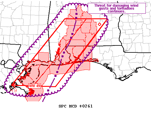 Mesoscale Discussion 261