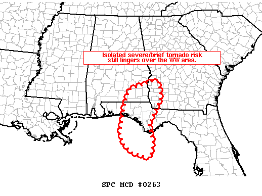 Mesoscale Discussion 263