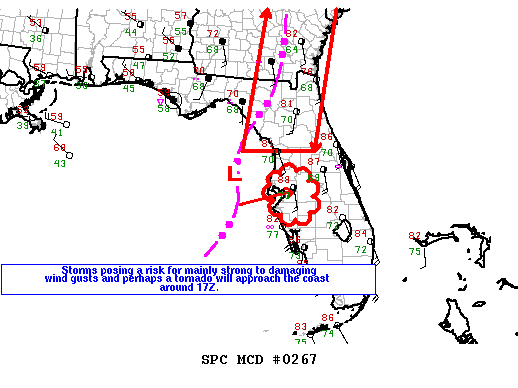 Mesoscale Discussion 267
