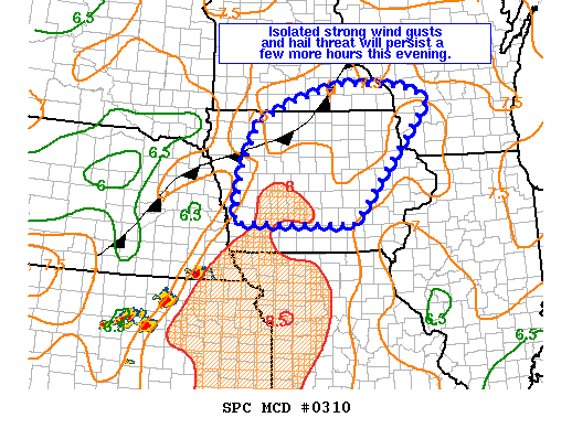 Mesoscale Discussion 310
