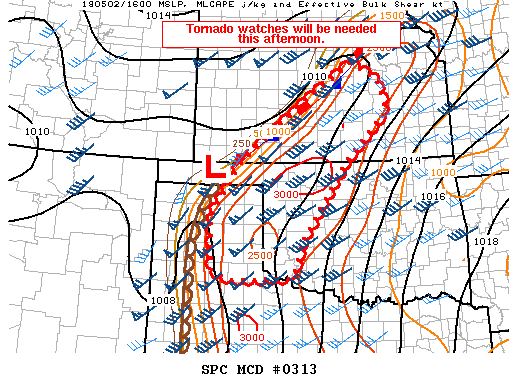 Mesoscale Discussion 313