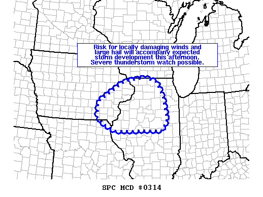 Mesoscale Discussion 314
