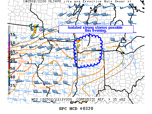 Mesoscale Discussion 320