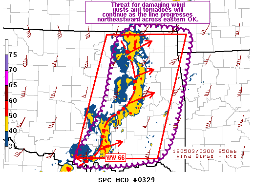Mesoscale Discussion 329