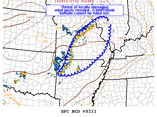 Mesoscale Discussion 331