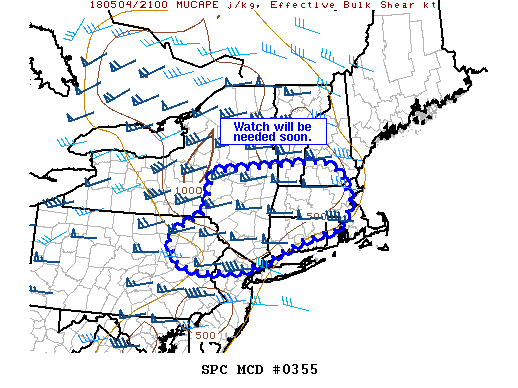 Mesoscale Discussion 355