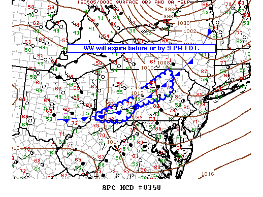 Mesoscale Discussion 358
