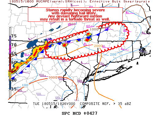 Mesoscale Discussion 427