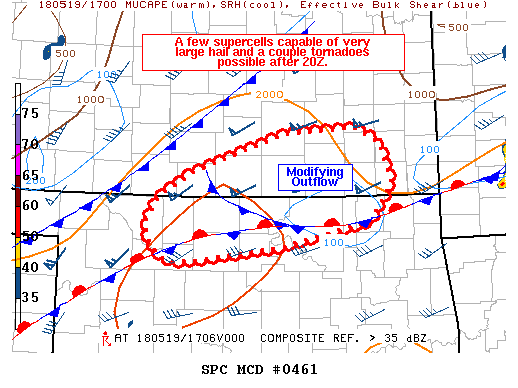 Mesoscale Discussion 461