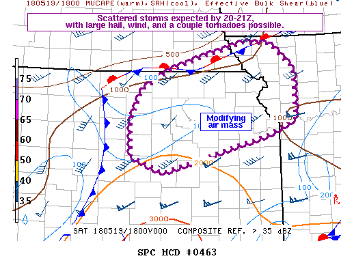 Mesoscale Discussion 463