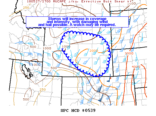 Mesoscale Discussion 539