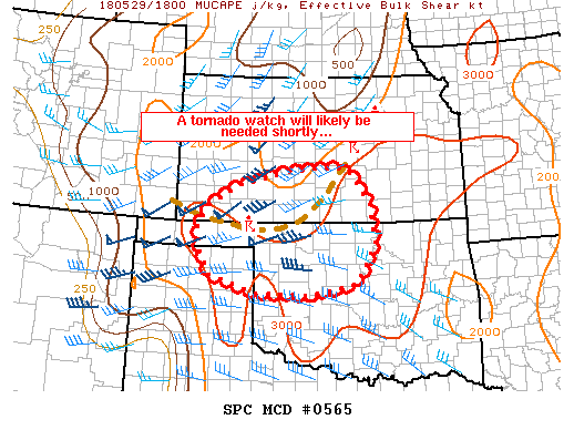 Mesoscale Discussion 565
