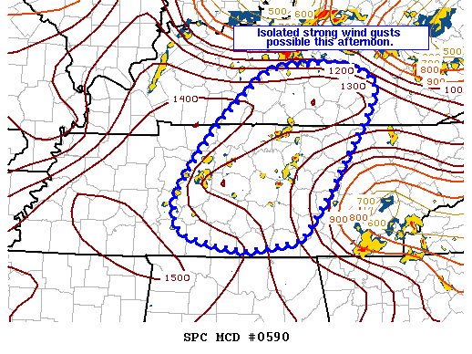 Mesoscale Discussion 590