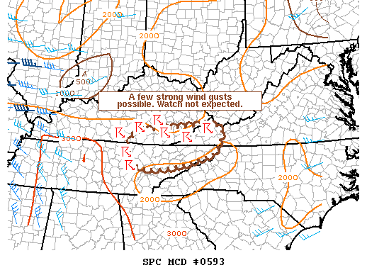 Mesoscale Discussion 593