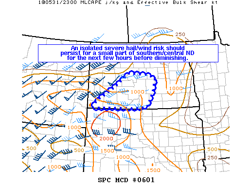 Mesoscale Discussion 601