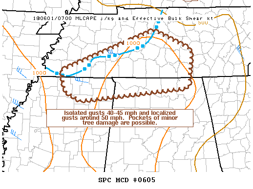 Mesoscale Discussion 605
