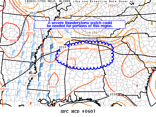 Mesoscale Discussion 607