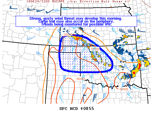 Mesoscale Discussion 855