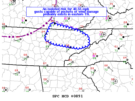 Mesoscale Discussion 891