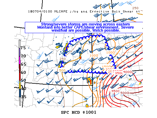 Mesoscale Discussion 1001