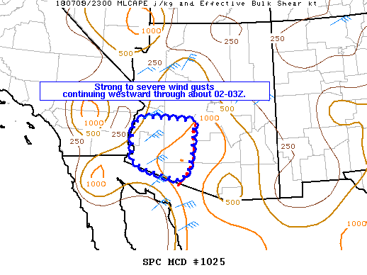 Mesoscale Discussion 1025