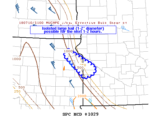 Mesoscale Discussion 1029