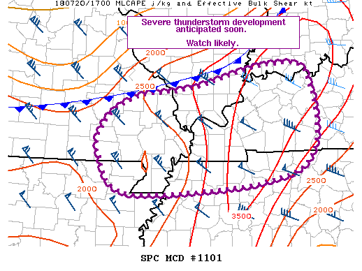 Mesoscale Discussion 1101