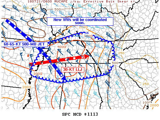 Mesoscale Discussion 1113