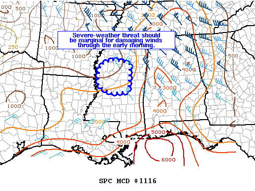Mesoscale Discussion 1116