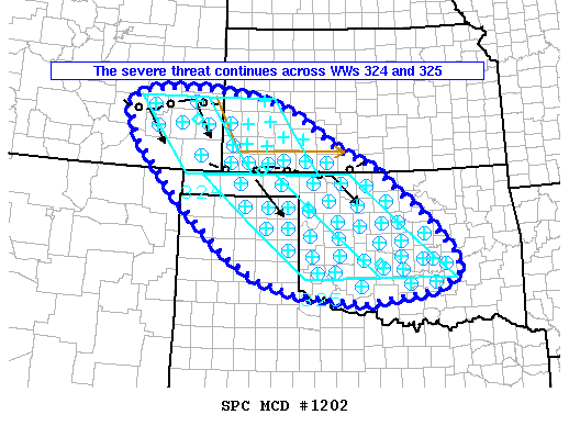 Mesoscale Discussion 1202