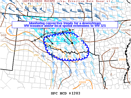 Mesoscale Discussion 1203