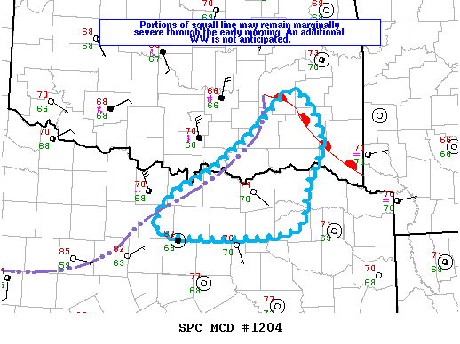 Mesoscale Discussion 1204