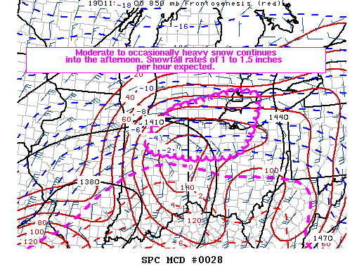 Mesoscale Discussion 28
