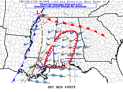 Mesoscale Discussion 29