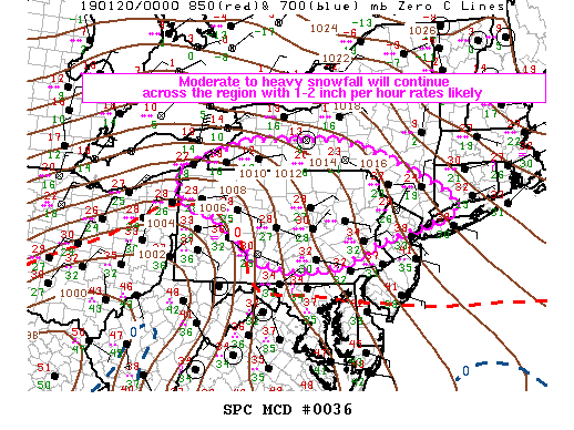 Mesoscale Discussion 36