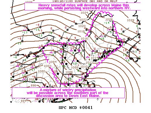 Mesoscale Discussion 41