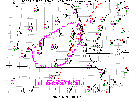 Mesoscale Discussion 125