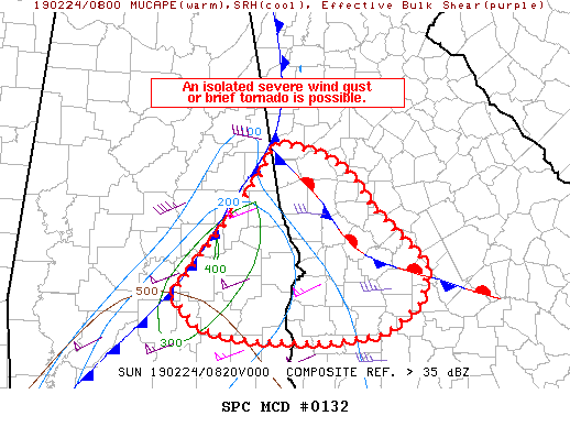 Mesoscale Discussion 132