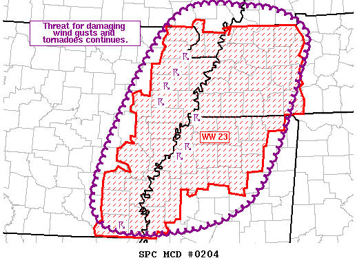 Mesoscale Discussion 204