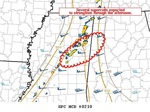 Mesoscale Discussion 210