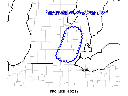 Mesoscale Discussion 217