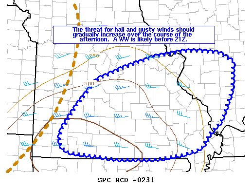 Mesoscale Discussion 231