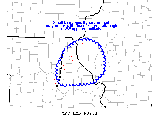 Mesoscale Discussion 233