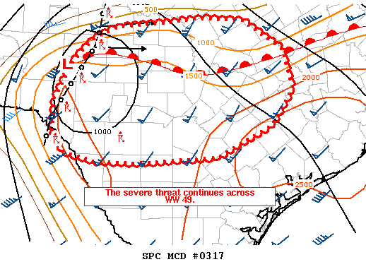 Mesoscale Discussion 317