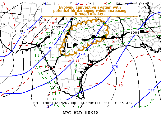 Mesoscale Discussion 318