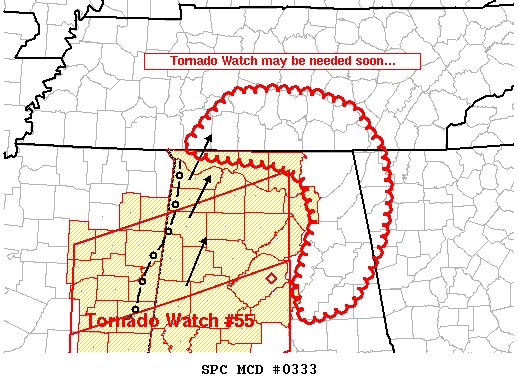Mesoscale Discussion 333