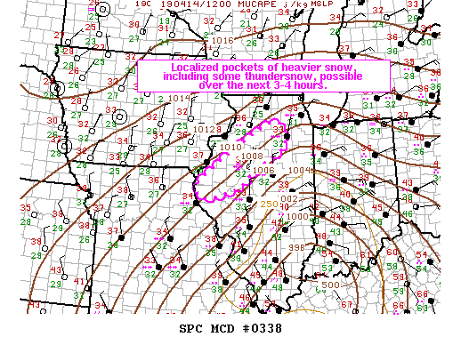 Mesoscale Discussion 338