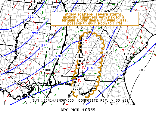 Mesoscale Discussion 339