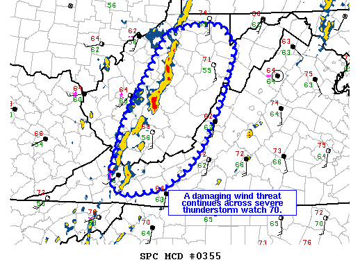Mesoscale Discussion 355