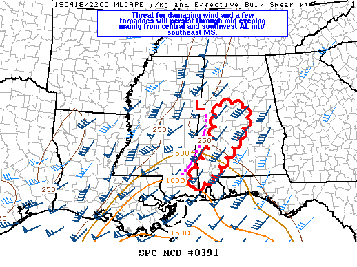 Mesoscale Discussion 391